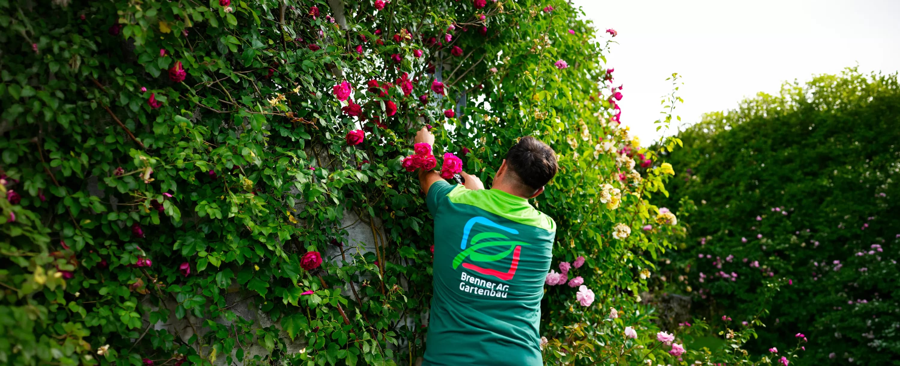 Brenner AG Horticulture — Gärtner in Rümlang