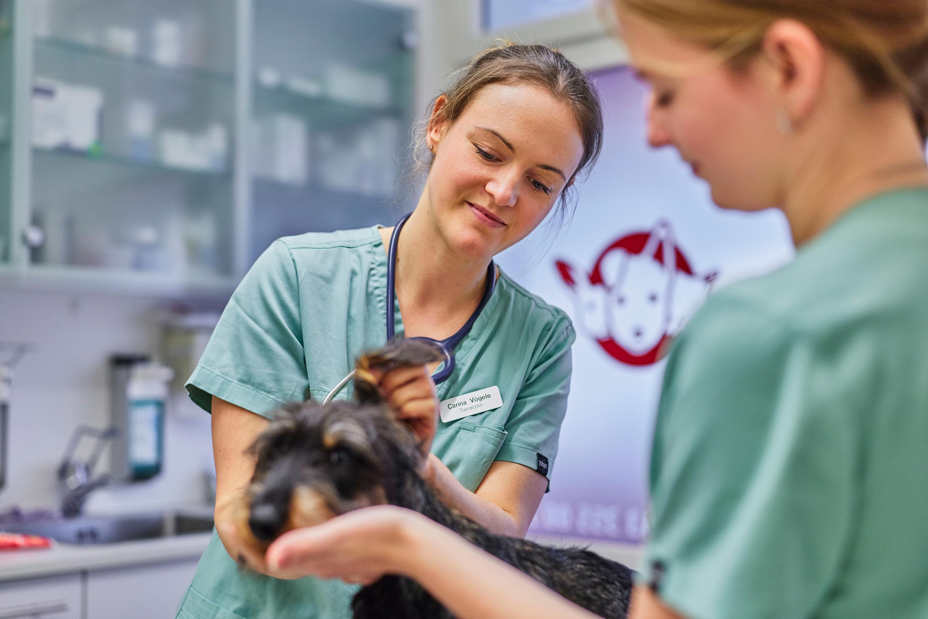 KLEINTIERPRAXIS NICOLE HAGER — Tierarzt in Gossau ZH (Bild 3)
