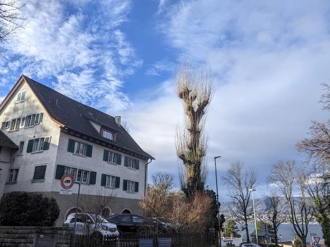 Herzpraxis Zollikon — Arzt in Zollikon
