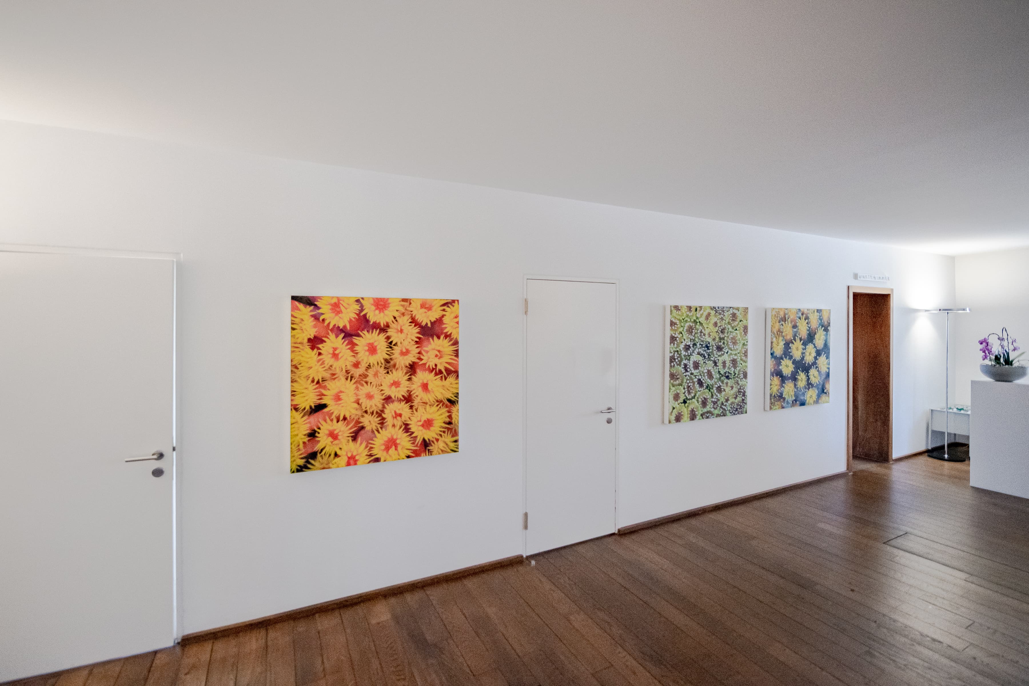 Gastropraxis am See — Arzt in Meilen (Bild 2)