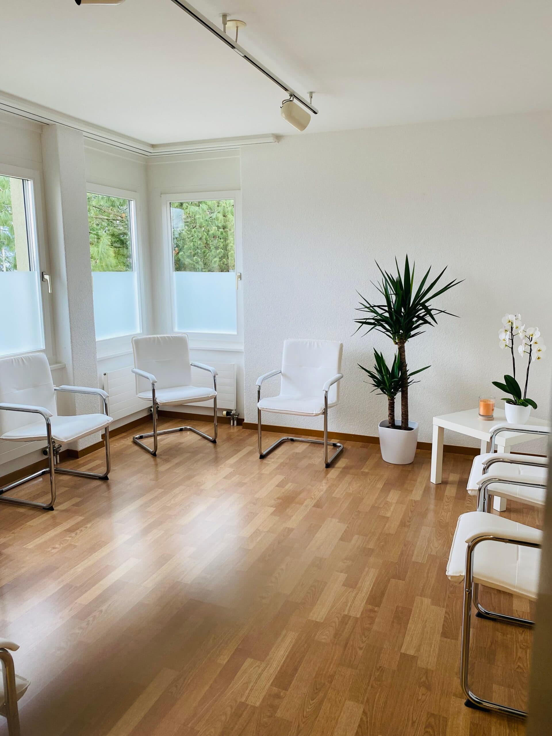 Hausarztpraxis an der Fähre Horgen — Arzt in Horgen (Bild 3)