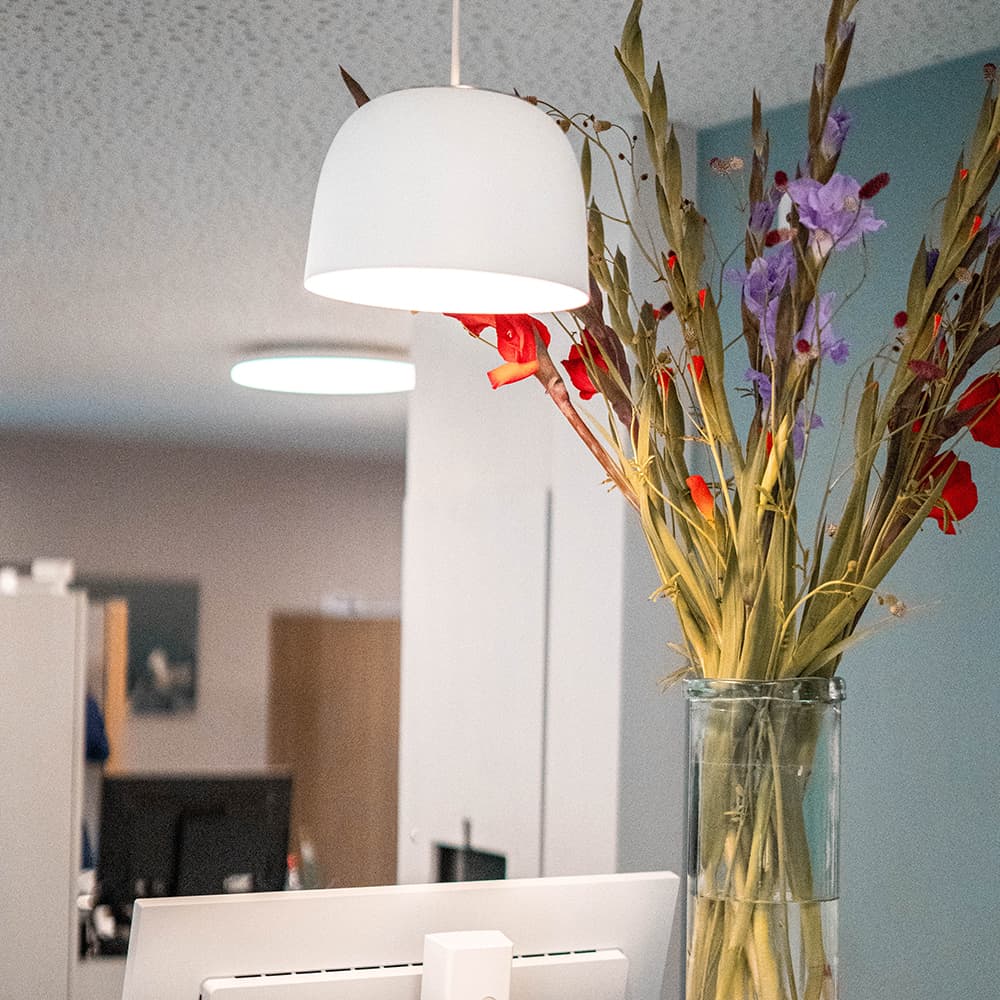 MedVita Praxis GmbH, Frauenheilkunde und Geburtshilfe — Arzt in Obfelden (Bild 2)