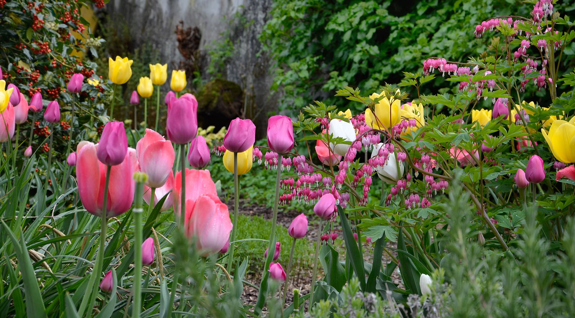 Haas Gartenbau AG — Gärtner in Bern
