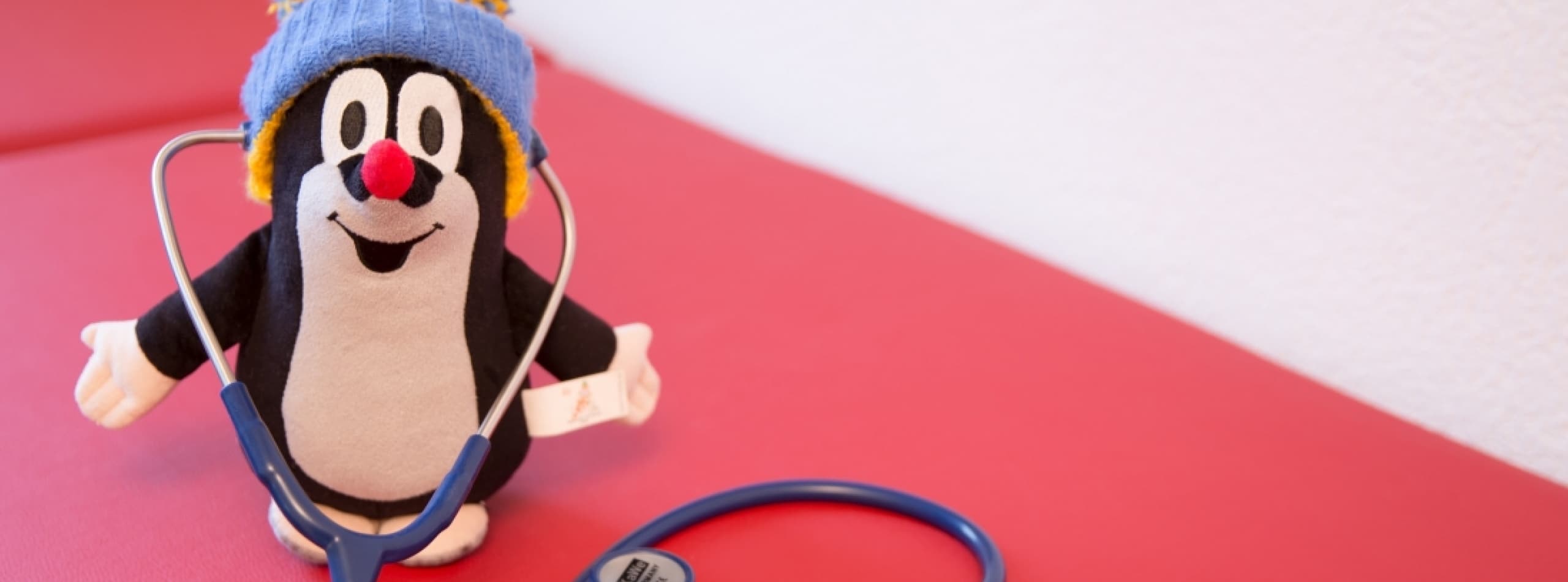 Dr. med. Lisa Rathgeb, Fachärztin FMH für Kinder- u. Jugendmedizin — Arzt in Zürich (Bild 2)