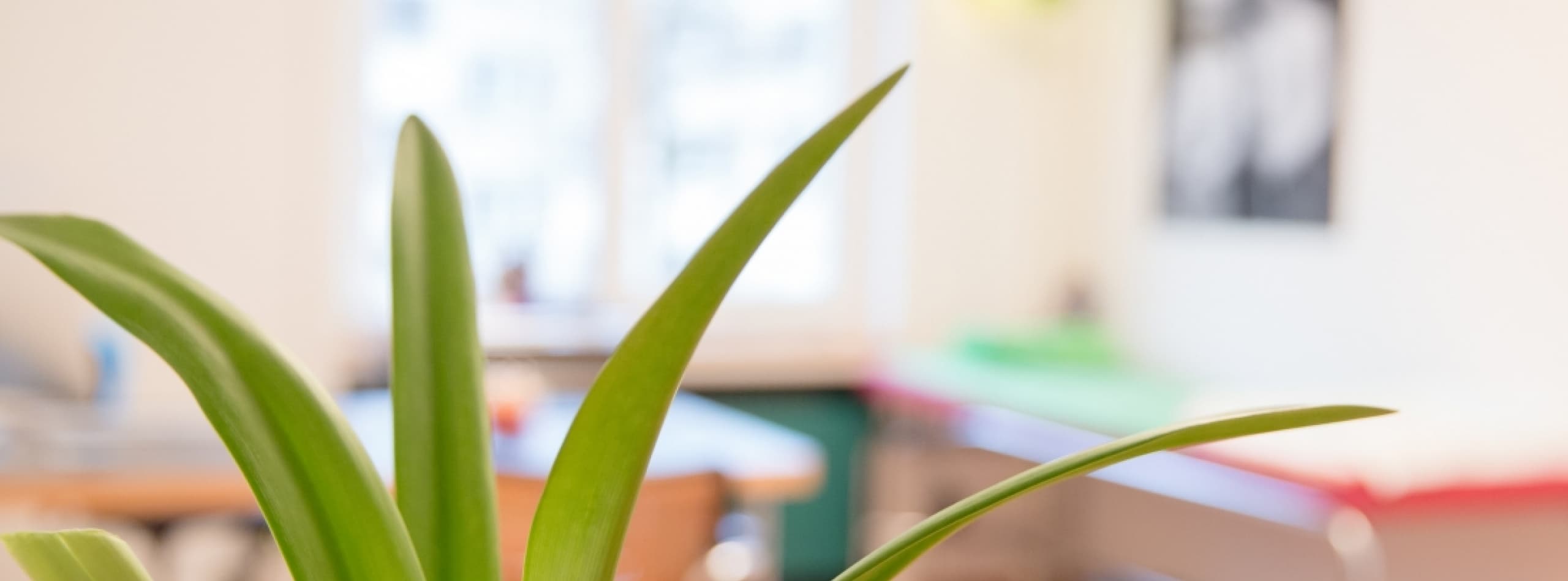 Dr. med. Lisa Rathgeb, Fachärztin FMH für Kinder- u. Jugendmedizin — Arzt in Zürich (Bild 3)