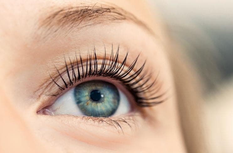 Beauty Club Wallisellen — Kosmetikstudio in Wallisellen