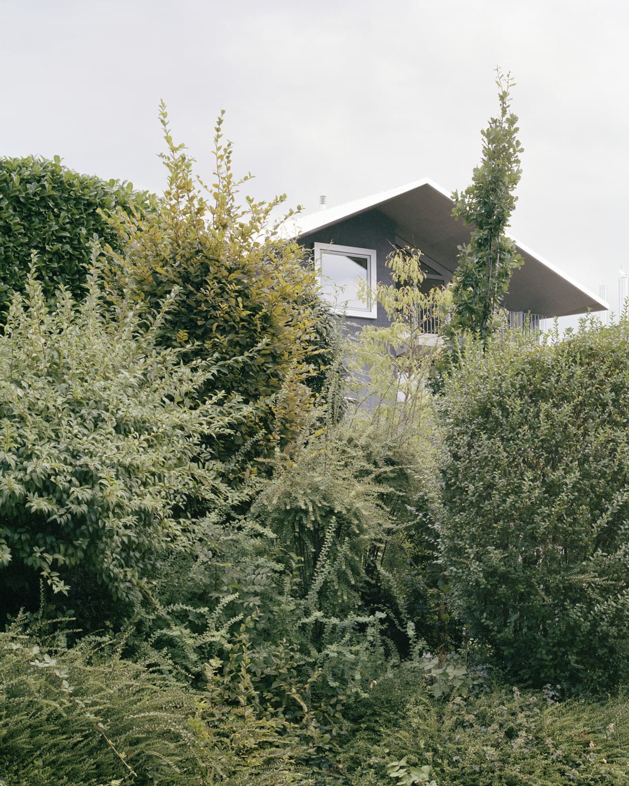 KARAMUK KUO — Architekt in Zürich (2)
