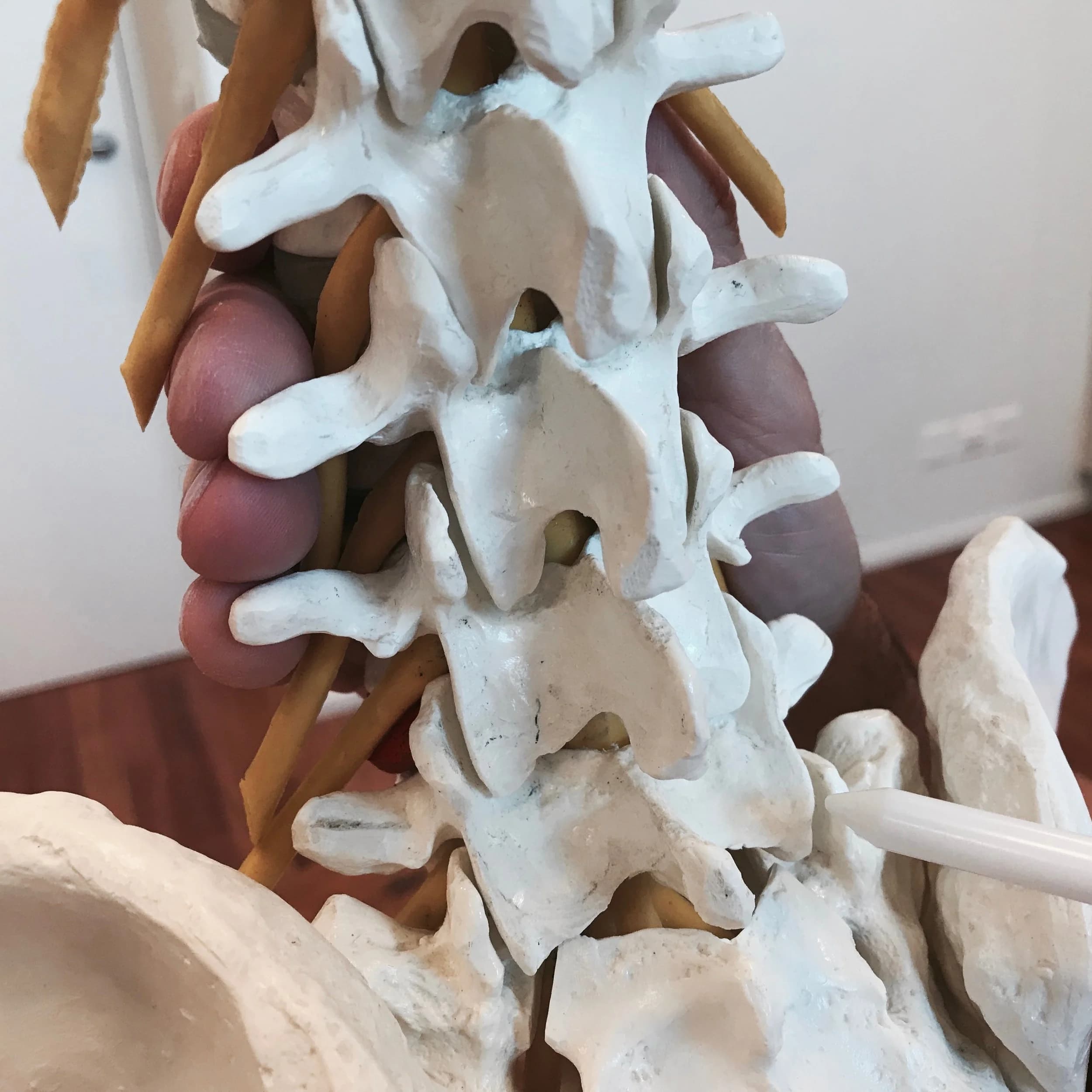 Dr. med. Massimo Leonardi | Wirbelsäulenchirurgie | Zürich | Spine Surgery — Arzt in Zürich (Bild 3)