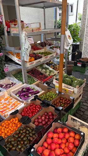Saisonal Delikatessen — Supermarkt in Zürich