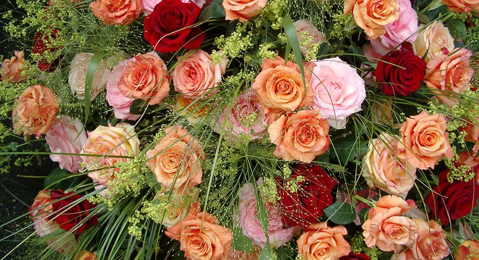 Blumen Vorderberg — Geschaeft in Zürich (Bild 2)