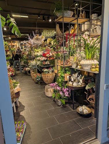 Swizz Green — Geschaeft in Winterthur