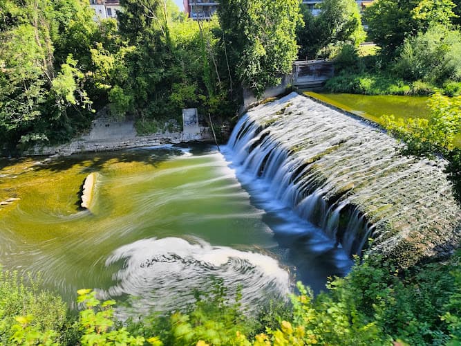 Märki's Blumen selbst schneiden — Geschaeft in Winterthur