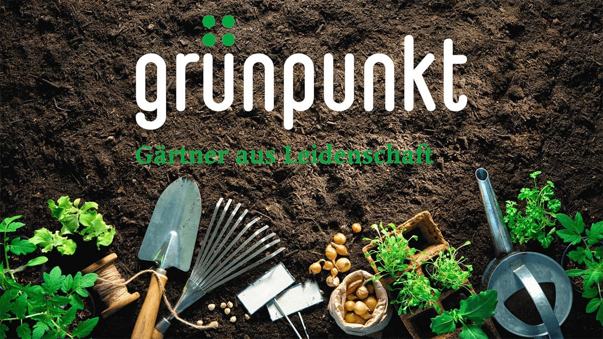 Grünpunkt GmbH — Gärtner in Winterthur (Bild 2)