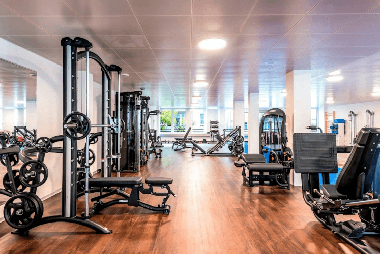 GIPFELSTÜRMER Therapie & Training St. Gallen