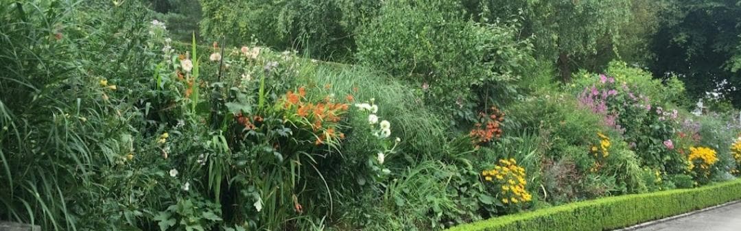 Müller Gartenpflege/Hauswartungen GmbH — Gärtner in Zollikon (Bild 2)