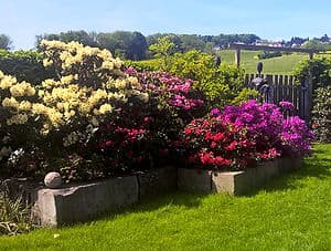 Ungricht A. Söhne Gartenbau AG — Gärtner in Dietikon (Bild 3)