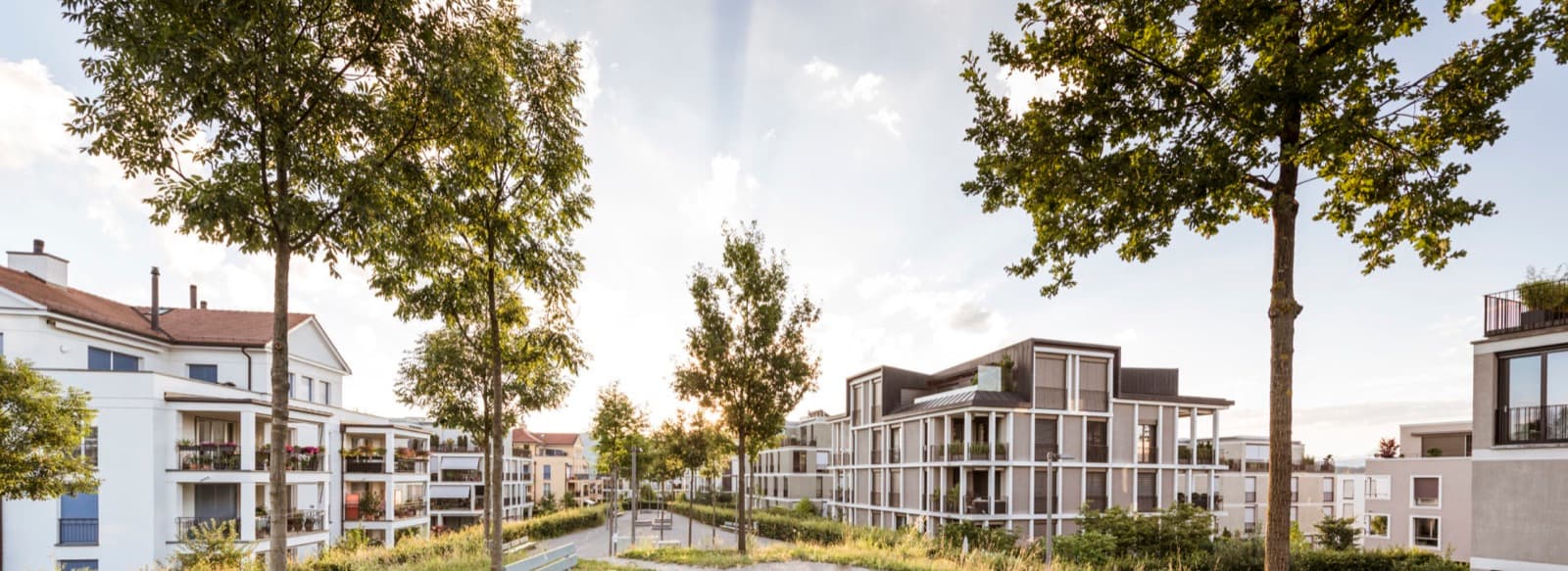 Mössinger Immobilien AG — Immobilienverwaltung in Liebefeld