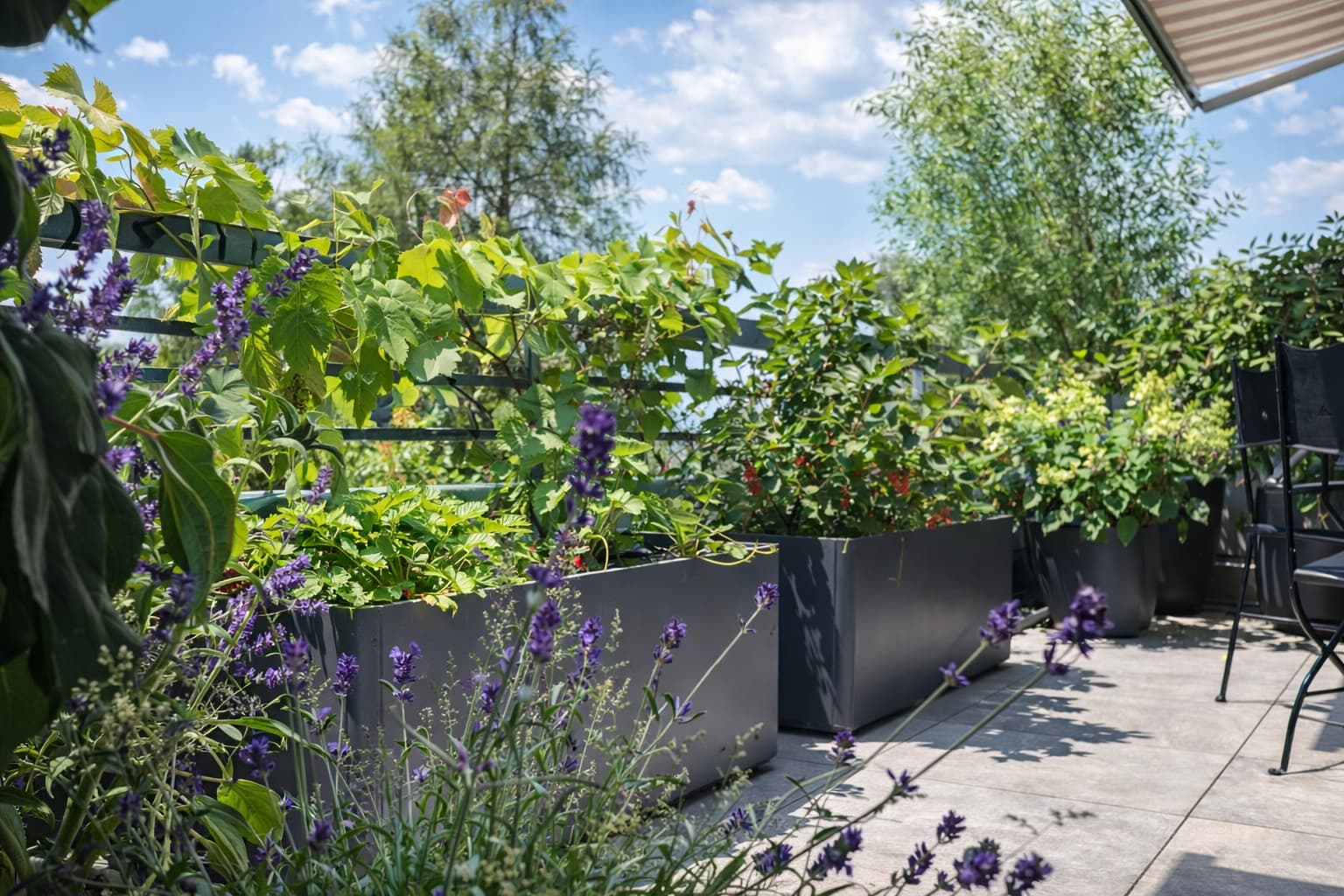 Green Living Space GmbH — Gärtner in Zürich (Bild 3)