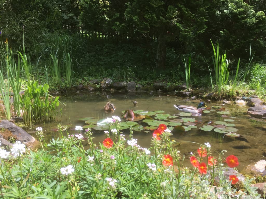 Urs Reiter Gartenbau und Gartenpflege GmbH — Gärtner in Zürich