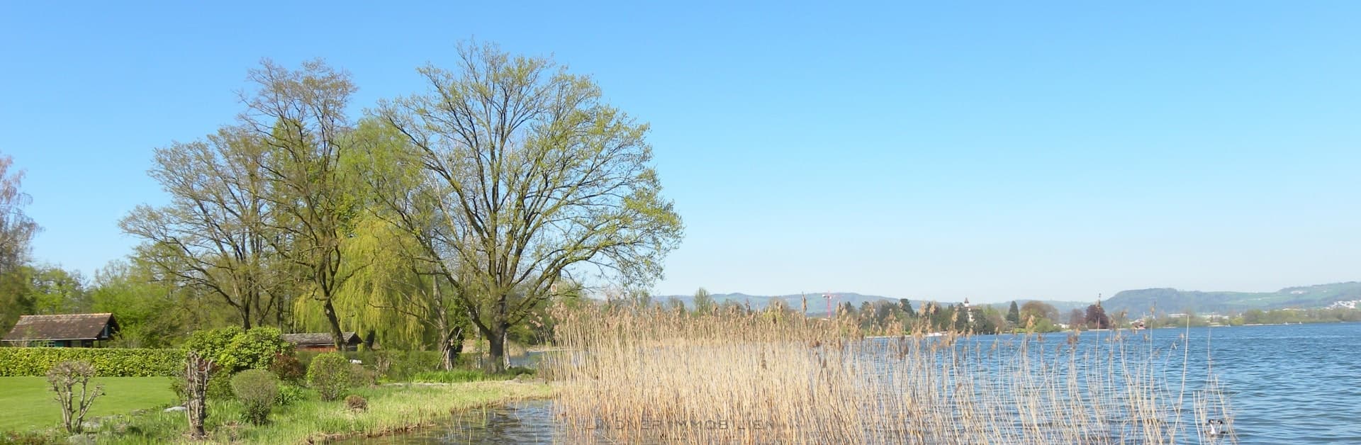 Lindner Immobilien — Immobilienmakler in Küsnacht (Bild 3)
