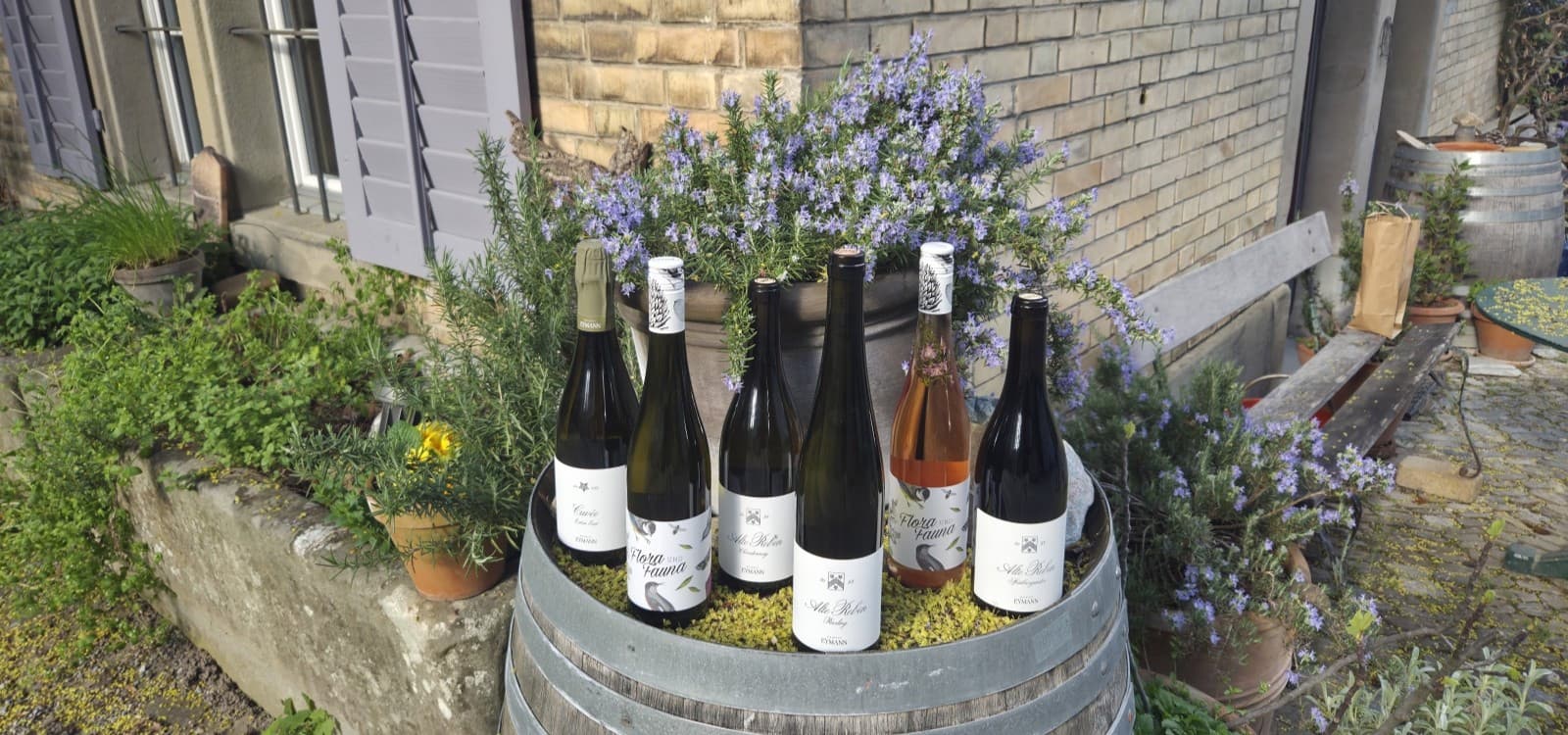 REB Wein AG — Sonstige in Zürich (Bild 3)