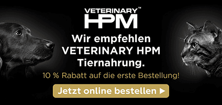 Kleintierpraxis Letzi AG — Tierarzt in Zürich (Bild 3)
