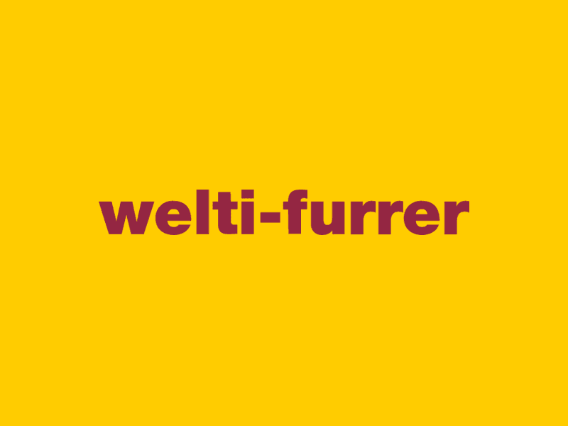 Welti-Furrer Umzüge — Umzugsfirma in Zürich (Bild 2)