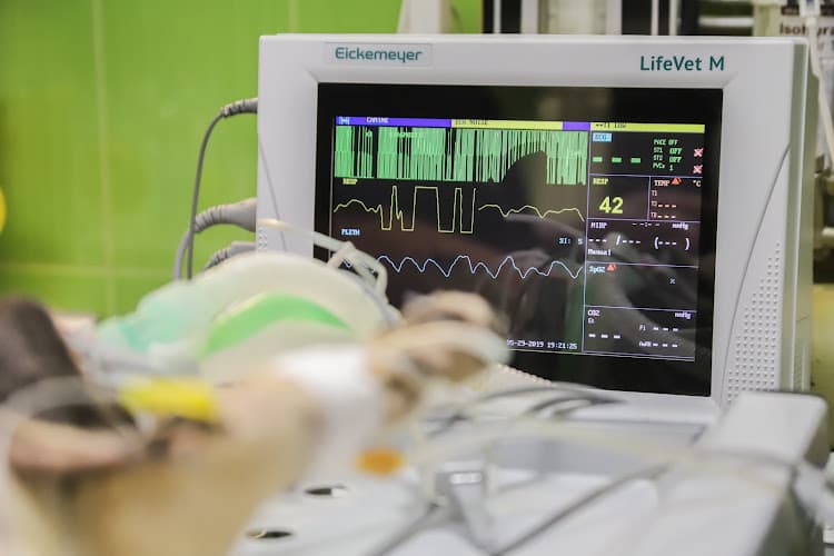 SEEKLINIK ZÜRICH - Fachklinik für Mund-, Kiefer- und Plastische Gesichtschirurgie — Arzt in Zürich