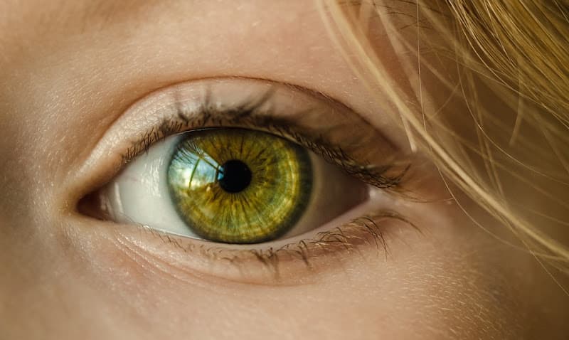 Augenarzt Dr. med. J. Sternbuch, FMH für Augenmedizin und Augenchirurgie — Arzt in Zürich