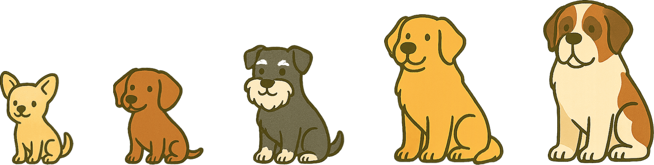 Hundesalon Wang Wuffi-Welt — Tierarzt in Uster (Bild 3)